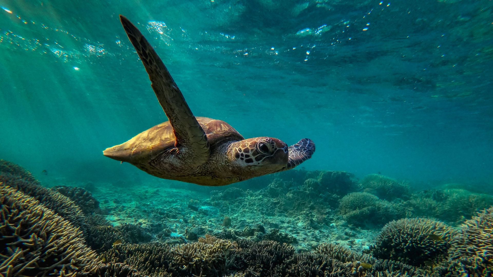 L&rsquo;usine de drones à Essonne et la menace sur les libertés : Macron s’engage dans une voie dangereuse