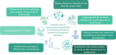 Un pas en arrière pour la biodiversité : le Sénat français valide l’usage temporaire d’insecticides interdits
