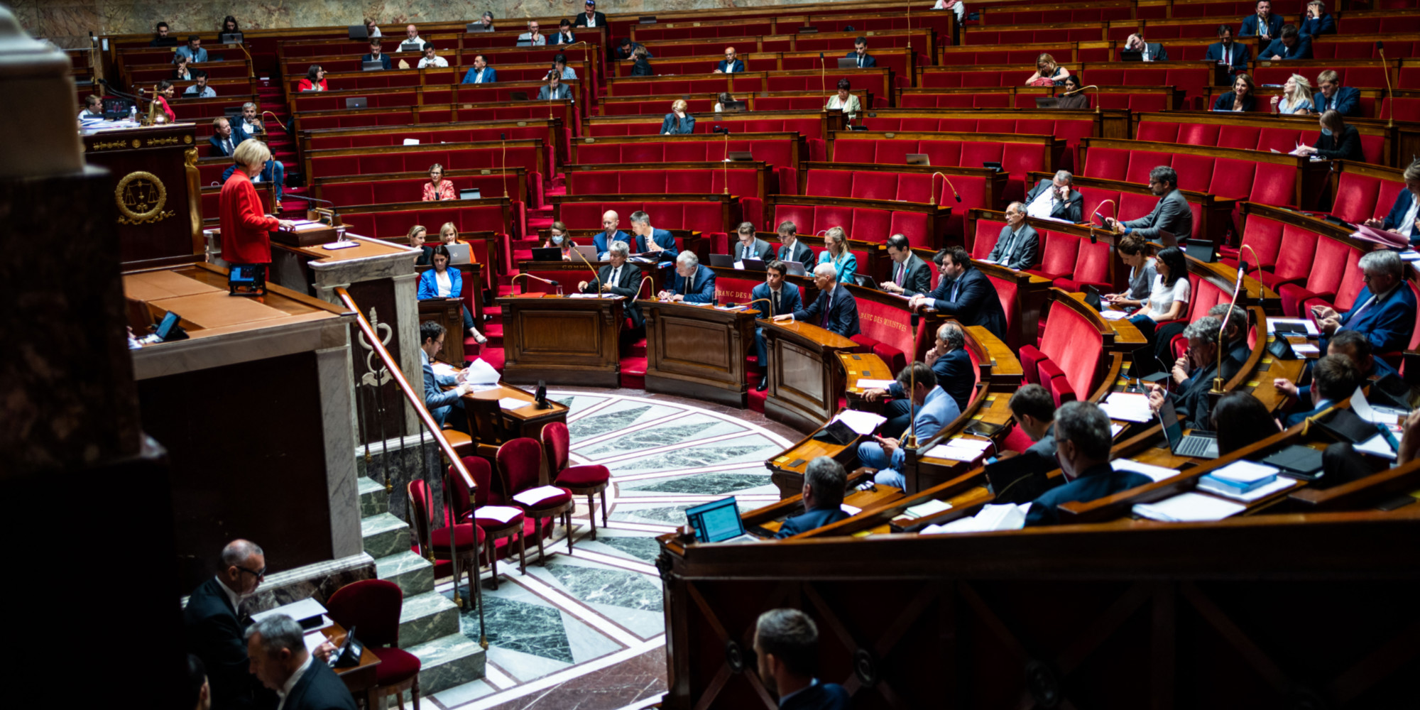 Une décision dangereuse pour l’avenir des pollinisateurs : Le Sénat français valide temporairement deux insecticides interdits sur le territoire national