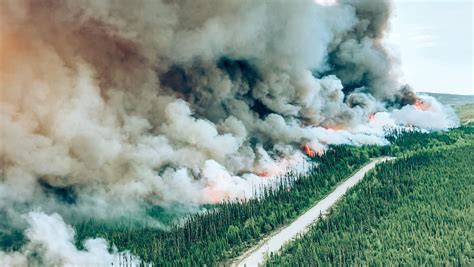 Un épisode caniculaire extrême menace la France : 7 000 feux de forêt enregistrés