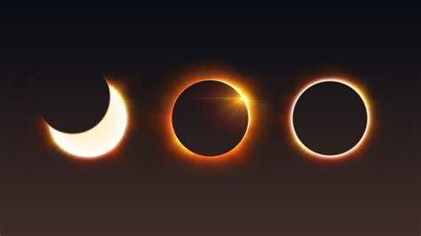 L&rsquo;Éclipse des Décisions : Qui Détermine Vraiment ce Que Vous Mangerez ?